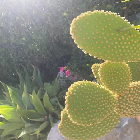 La Baia Di Egeo Villa *