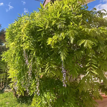 Villa La Baia Di Egeo